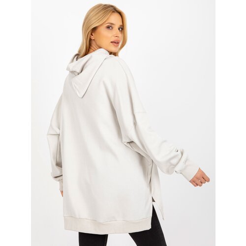 Mayflies Sweatshirt-TW-BL-2001.40-light gray Cene