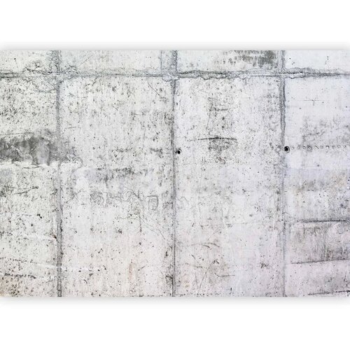  Foto tapeta - Concrete Wall 350x256 Premium Slike