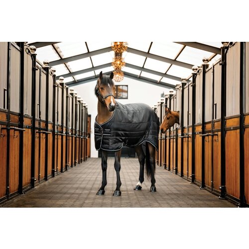 Horseware Ireland Pregrinjalo Horseware Easy-Layer Stable 100g, Black/Black & Silver - 155 cm Cene