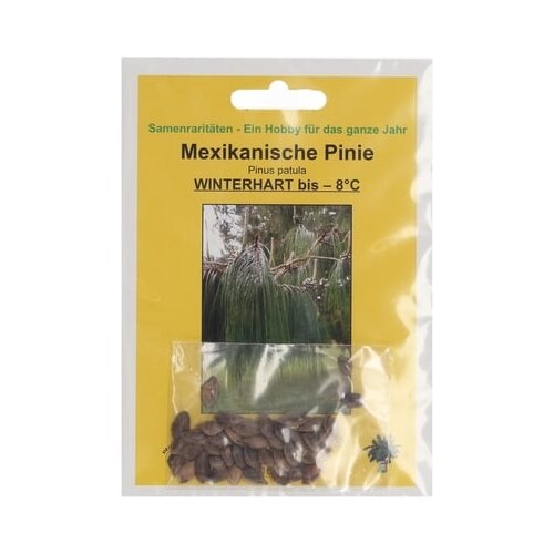 TROPICA mehiški bor Cene
