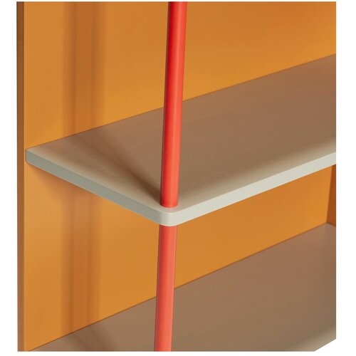 H&amp;uuml;bsch Oranžna stenska polica iz masivnega jesena 60x109 cm Apollo &amp;ndash; Slike