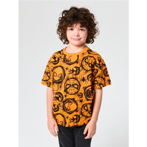 Sinsay Majica kratkih rukava Spider-Man Cene