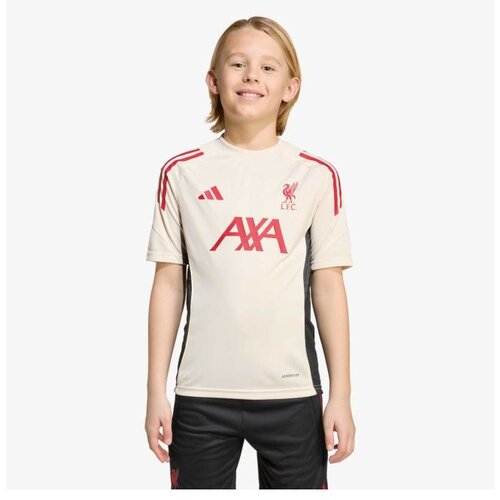 Adidas Lfc tr jsy y Cene