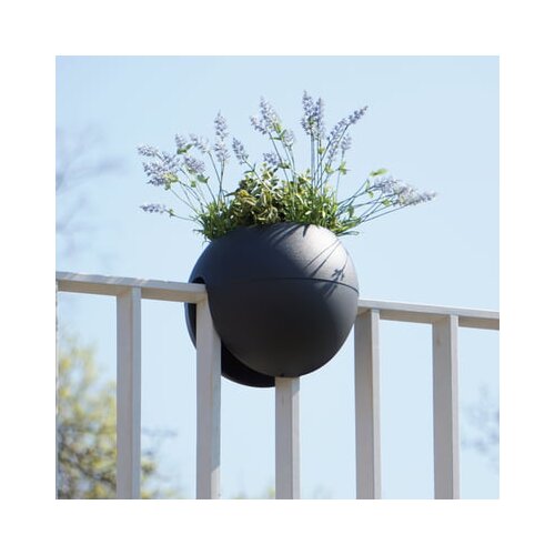 rephorm Lonec za ograjo "Bloomball" - Grafit (antracit) Cene