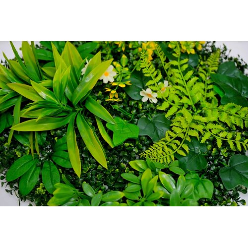 BOLZZ zeleni zid 3D forest 50X50 cm bolzzidforest Cene