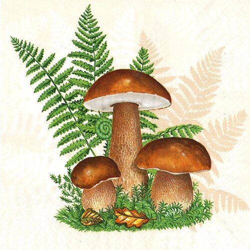  Serviete za decoupage Boletus with Leaves of Fern - 1 kos Cene