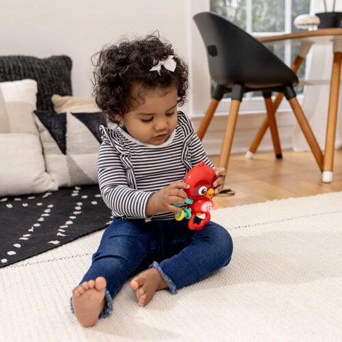 BABY EINSTEIN Roxy&amp;#039;s Bright Flight&amp;trade; glasbena igrača 3m 1 kos Slike