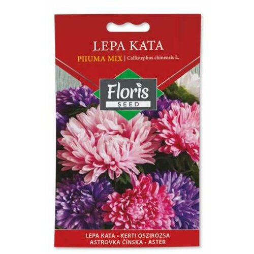 Floris seme cveće-lepa kata astro piuma di str 05g FL Cene