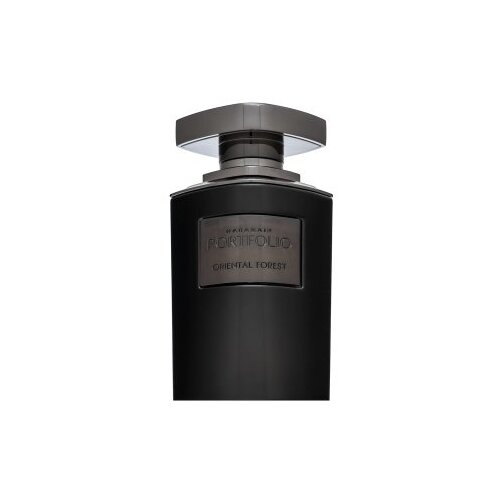 Al Haramain Portfolio Oriental Forest parfumirana voda za moške 75 ml Cene