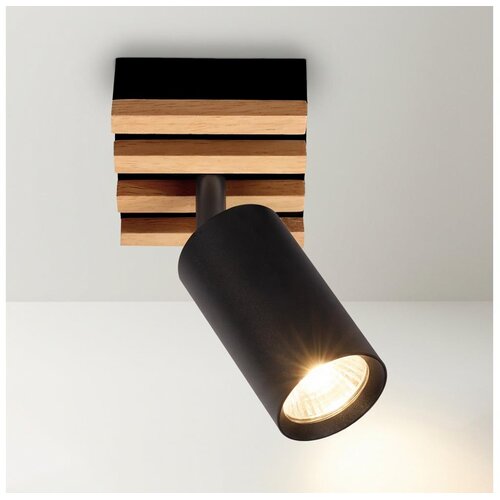  Brilagi - Spot svetiljka SELE WOOD 1xGU10/30W/230V crna/drvo Cene