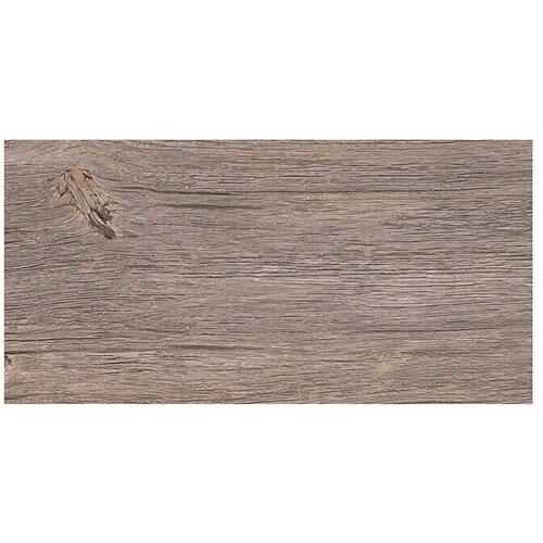  Porculanska pločica Betulla 2.0 (30 x 60 cm, Mat) Cijene