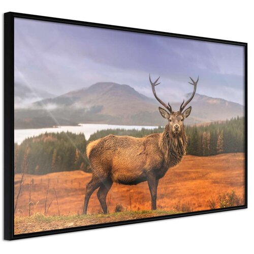  Poster - Majestic Deer 60x40 Cijene