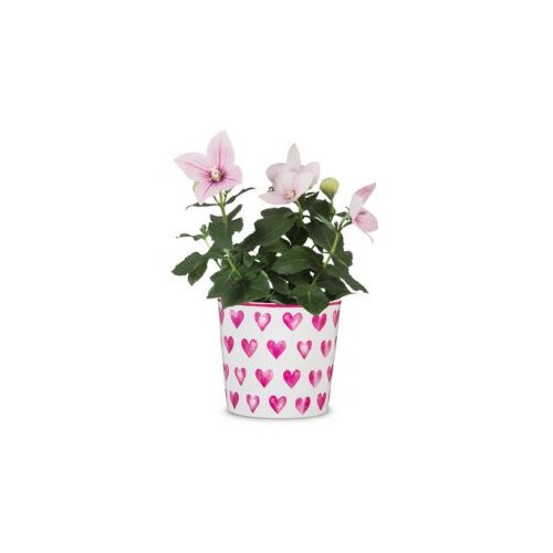  Saksija Happy Heart 870/15 Cijene