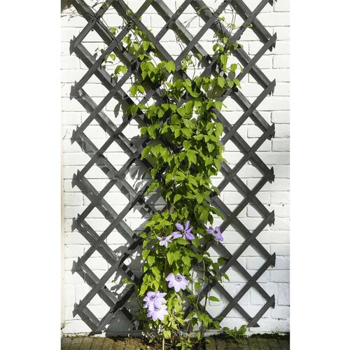 Nature oporna mreža za rastline 50x150 cm lesena antracit, (21058699) Cene