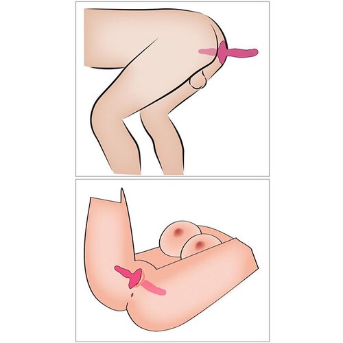 You2Toys 2 v 1 Vibrator in analni vibracijski čep (R5404347) Slike