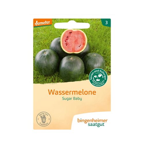  Lubenica "Sugar Baby" Cene