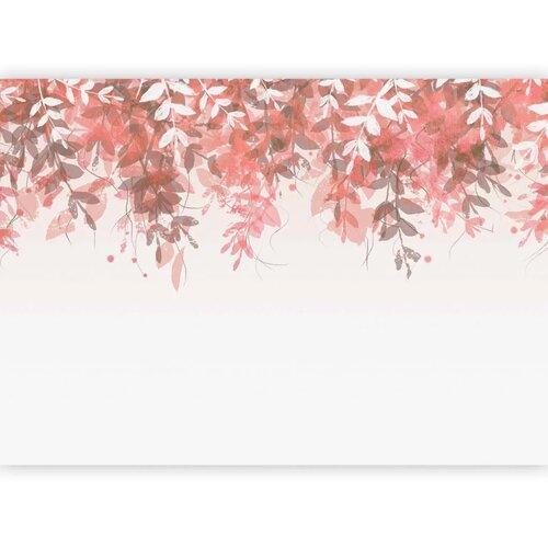  Foto tapeta - Under vegetation - hanging vines of pink leaves on a neutral background 500x350 Slike
