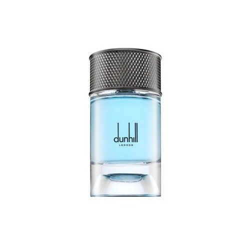 Dunhill Signature Collection Nordic Fougere parfumirana voda za moške 100 ml Cene