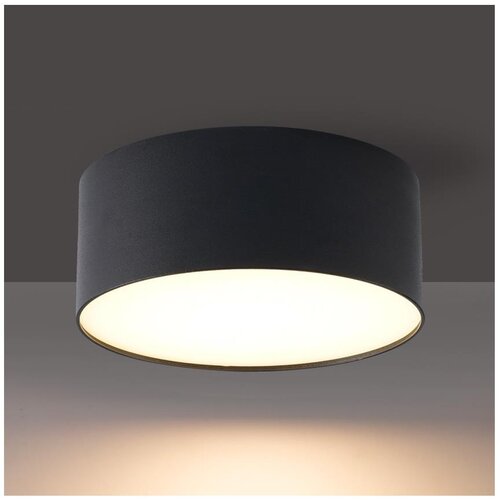 Brilagi LED spolja&amp;scaron;nje plafonsko svetlo FORIS LED/20W/230V prečnik 15 cm crno IP44 Slike