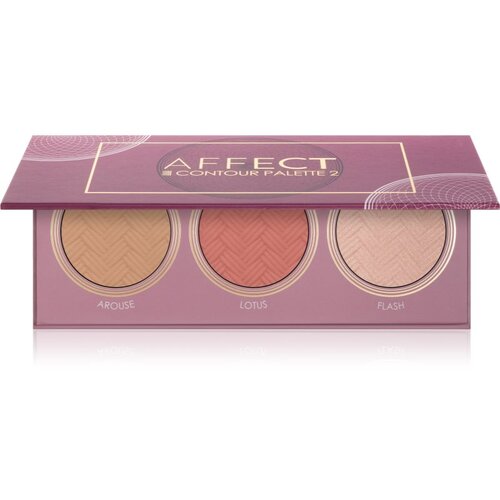 Affect Contour Palette 2 osvetljevalec, bronzer in rdečilo 3x5 g Slike
