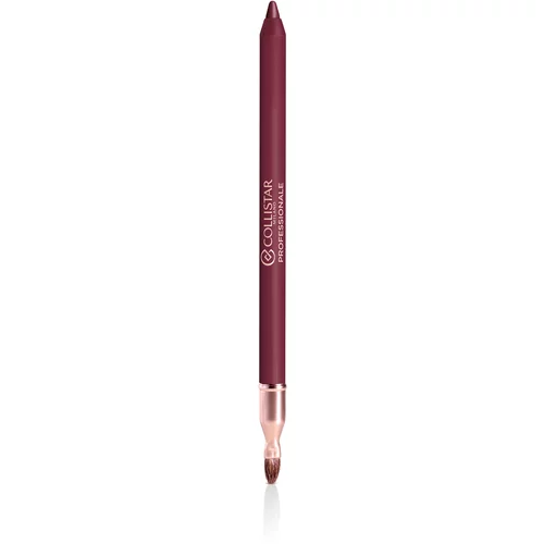 Collistar Professional Lip Pencil dugotrajna olovka za usne nijansa 6 Mora 1,2 g