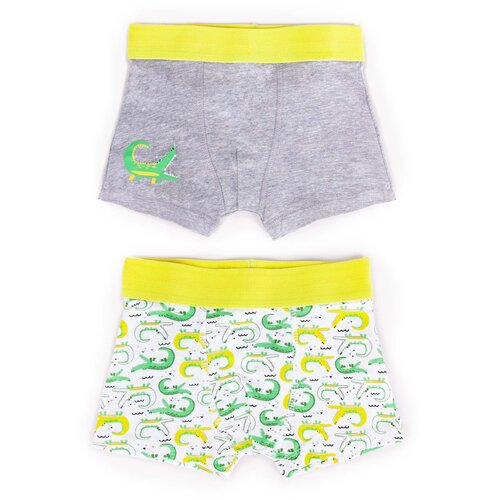 Yoclub kids&amp;#039;s cotton boys&amp;#039; boxer briefs underwear 2-pack BMB-0011C-AA30-001 Slike