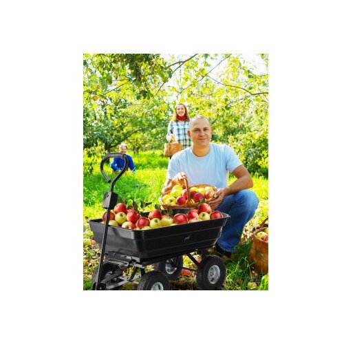 Chomik Vrtna nagibna ručna kolica 300 kg 75 L crna Cene