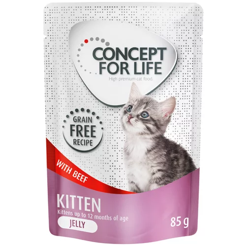 Concept for Life Kitten govedina v želeju brez žitaric - 48 x 85 g