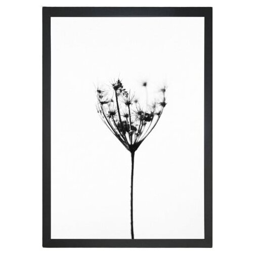 Tablo Center slika Misty Splendor, 23 x 28 cm Slike