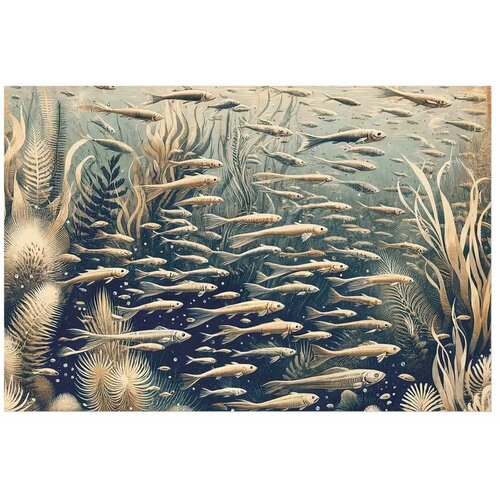  Plakat - Oceanic Nature 60x40 Bez okvira Slike