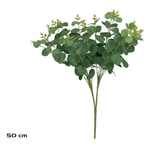  BUKET EUKALIPTUSA 50CM ZELENI PVC Cijene