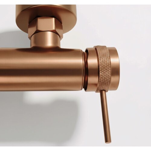 REA Bath Me&amp;scaron;alnik za kopel Lungo Grip Brush Copper Slike