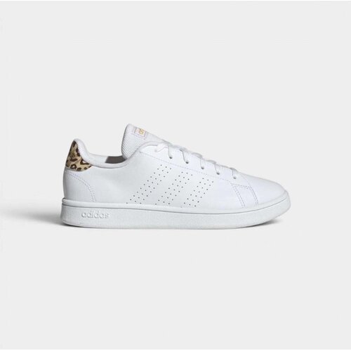 Adidas Nizke superge ADVANTAGE BASE Bela Cene