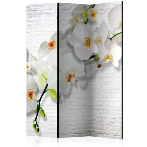  Paravan u 3 dijela - The Urban Orchid [Room Dividers] 135x172 Cijene
