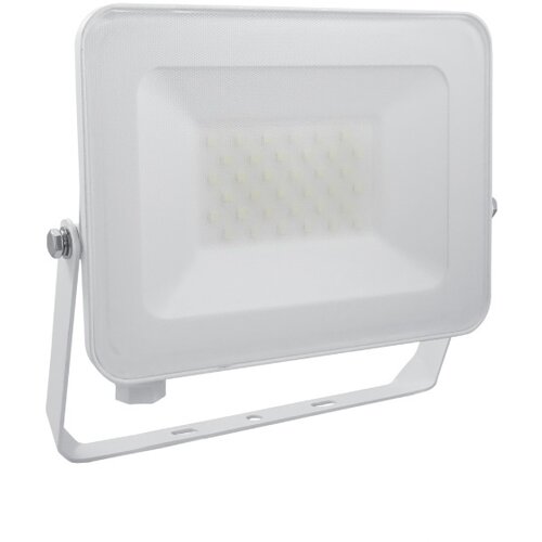  LED reflektor 30W Cene