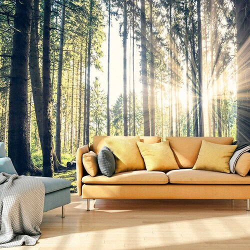  Samoljepljiva foto tapeta - Forest Walk 98x70 Slike