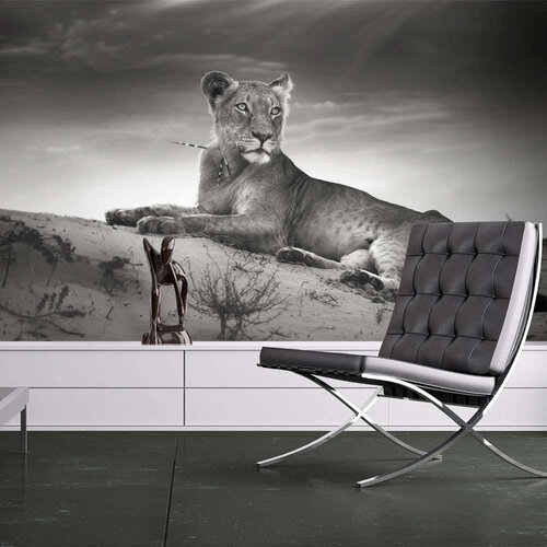  Tapeta - Black and white lioness 400x309 Slike