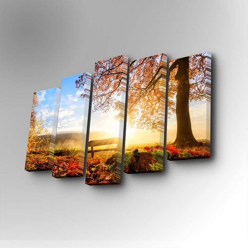Wallity 5PUC-030 multicolor decorative canvas painting (5 pieces) Cene