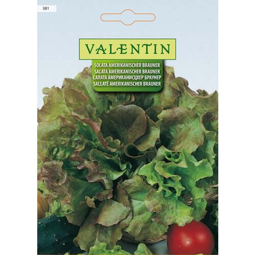 VALENTIN Sjeme povrća Salata Amerikanischer Brauner (Lactuca sativa) Cijene