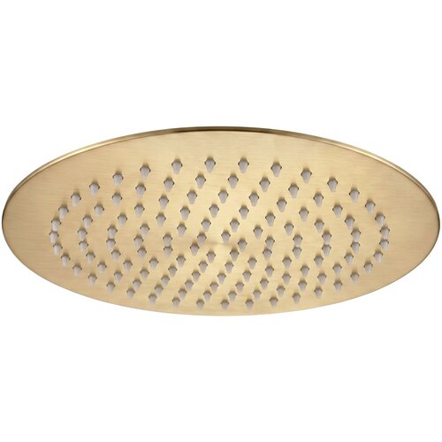 Rea Okrogla tu&scaron; glava JS-P014BG 25cm Brush Gold Cene