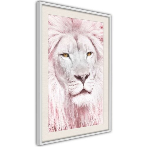  Poster - Dreamy Lion 40x60 Slike