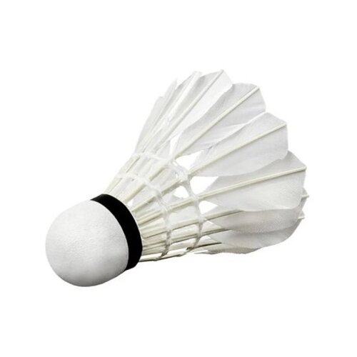 Master Set loptica za badminton sa perjem 6/1 251916 bijele Cijene
