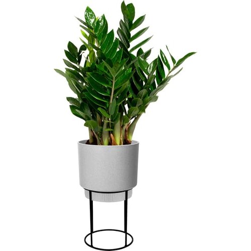 ELHO b.for studio rund 22cm - barva betona Slike