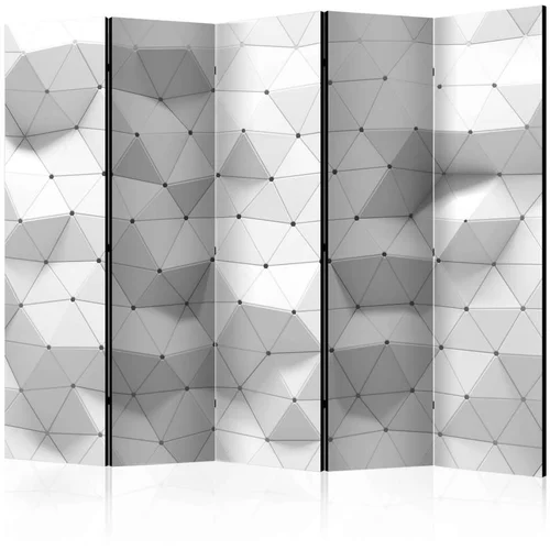  Paravan u 5 dijelova - Amazing Symmetry II [Room Dividers] 225x172