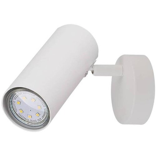 Candellux Lighting Bela kovinska stenska svetilka Colly - Candellux Lighting Cene