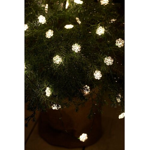 Sirius LED svetlobna veriga Nellie Green, dolžina 390 cm Slike