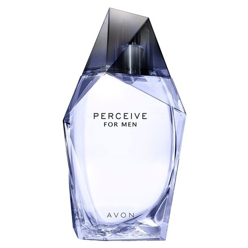 Avon Perceive toaletna voda za muškarce 100 ml Cijene