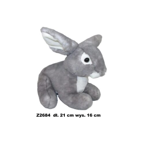  Zec 173737 Slike