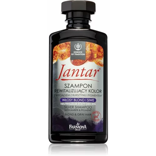 Farmona Jantar Silver šampon za neutraliziranje bakrenih tonova 330 ml