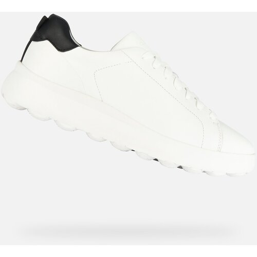 Geox White men's sneakers Spherica Ec4.1 - Men | EPonuda.com